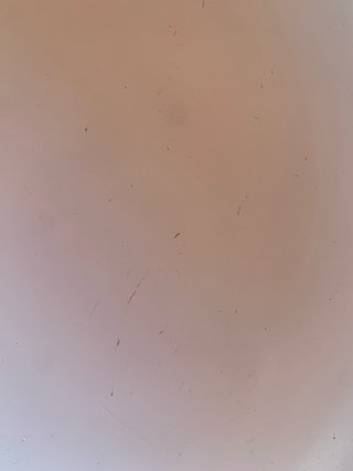 Padella antiaderente ceramica