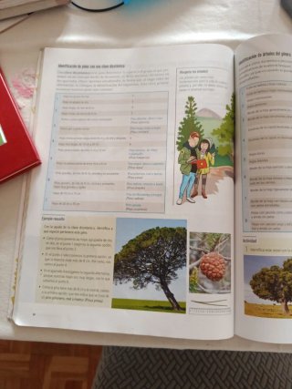 Proyecto: FanFest - Biología y Geología 1 ESO