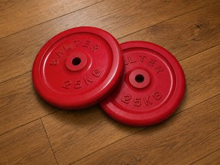 2 discos Salter 25 kg