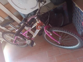 Bicicleta niña mediana rosa