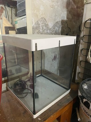 Acuario de cristal con tapa blanca
