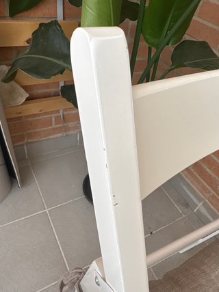 2 Sillas IKEA FROSVI con cojines