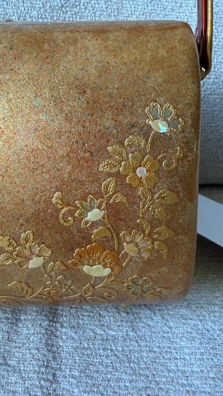Bolso rígido iridiscente dorado floral