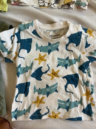 Lote Ropa Bebé Niño Camisetas y Peto