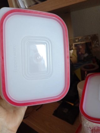 Set 3 Contenitori Tupperware Fiori Rossi