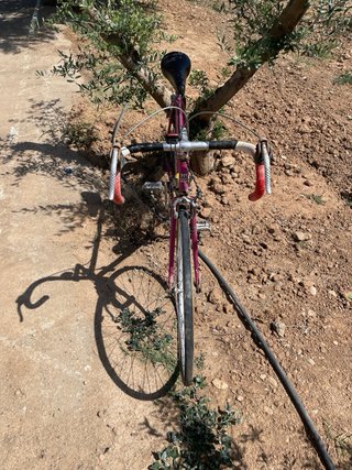 Bicicleta Mercier Columbus 1982 Rosa