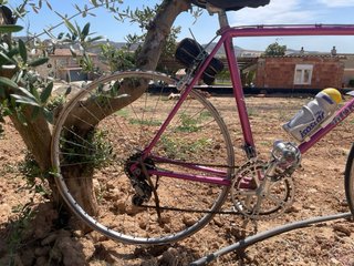 Bicicleta Mercier Columbus 1982 Rosa