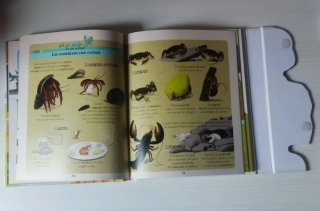 Libros tu primer vox  animales y de los ¿Como?