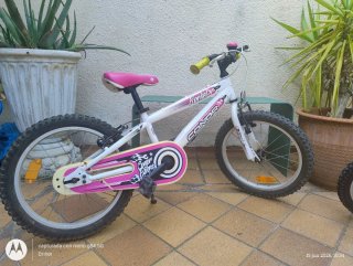 Bicicleta infantil niña y niño