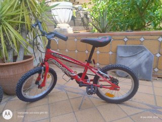 Bicicleta infantil niña y niño