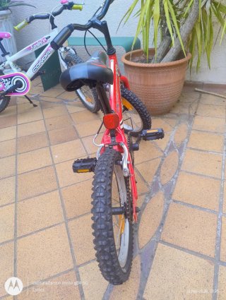 Bicicleta infantil niña y niño