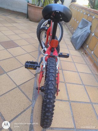 Bicicleta infantil niña y niño