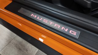 FORD Mustang 2.3 EcoBoost Mustang Fastback