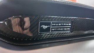 FORD Mustang 2.3 EcoBoost Mustang Fastback