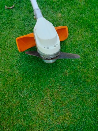 Desbrozadora STIHL FSA 90 + Batería