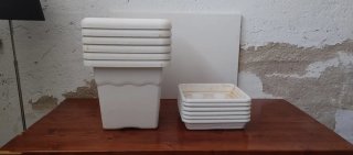 Macetas Grandes con Plato