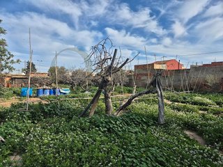 Solar en venta en Ciudad de Asís en Alicante
