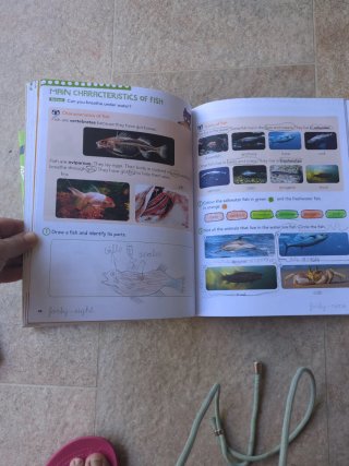 Natural Science Anaya 1° y 2° primaria