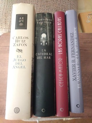 Lote novelas todas por 10 €