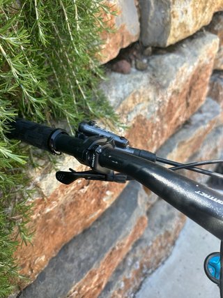 Bicicleta Giant Trance X Downhill