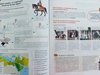 Lote de libros ANAYA 5 primaria