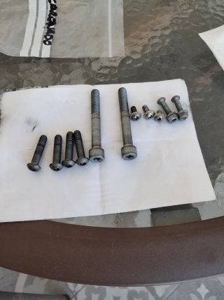 Tornillería BMW Torx
