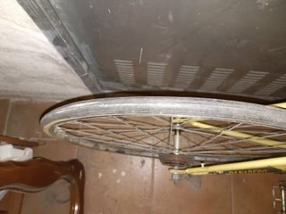 Bicicleta Clásica Torrot Original 313