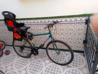 Bicicleta de montaña verde con silla para niño