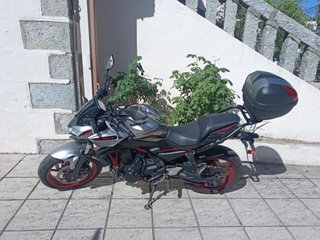 Kawasaki Z650 Naked 2023