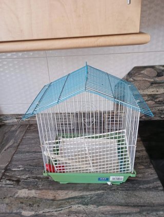 Gabbia per uccelli blu e verde