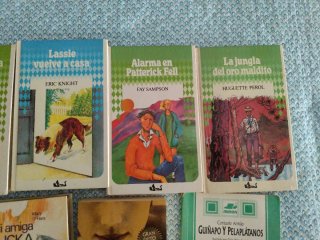 Lote libros