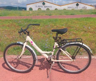 Bicicleta de paseo 666 759 668