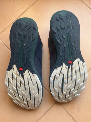 Zapatillas Trail Salomon pulsar pro 2