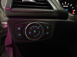 Ford Momdeo 2017