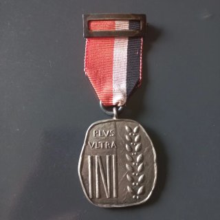 Medalla Plata Ley Plus Ultra