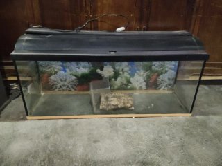 Pecera de cristal y plástico