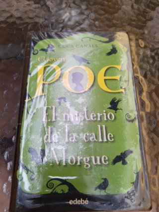 Libro el joven poe