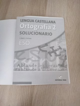 ORTOGRAFIA 2. LENGUA CASTELLANA