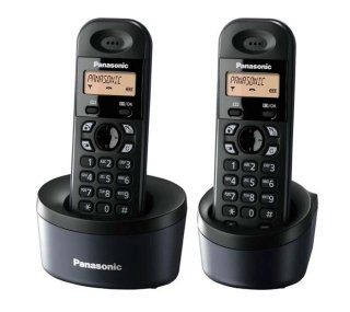 Teléfonos Panasonic KX-TG1311SP (Duo)