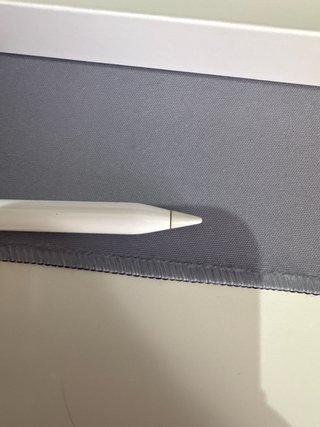 Apple Pencil 1ª Gen + adaptador