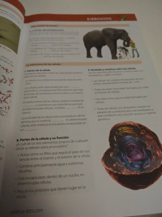 Planeta Tierra geología 1o ESO. Los seres vivos