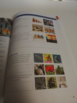 Planeta Tierra geología 1o ESO. Los seres vivos