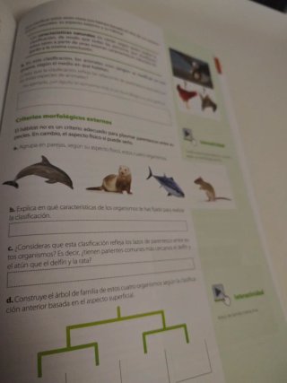 Planeta Tierra geología 1o ESO. Los seres vivos