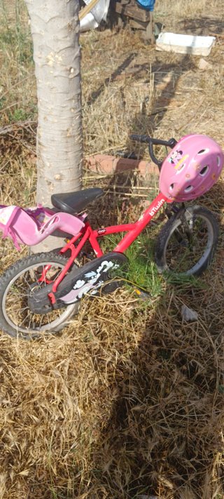 Lote de 5 bicicletas