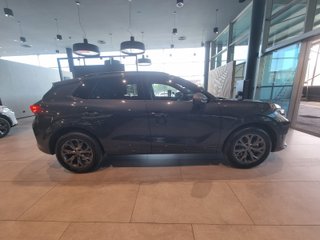 CUPRA TERRAMAR 1.5 E-HYBRID 204 CV DSG BEYONG 2026