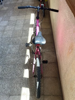 Bicicleta Infantil Rosa First Girl