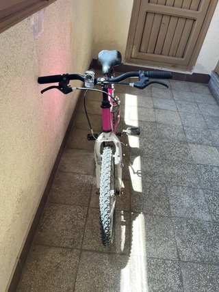 Bicicleta Infantil Rosa First Girl
