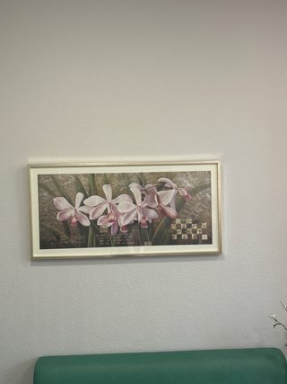 Cuadro Decorativo Flores Blancas
