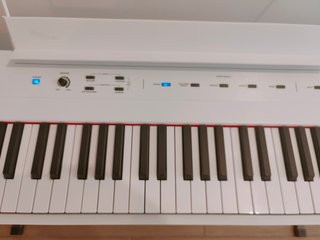 Piano Digital Alesis Recital Blanco