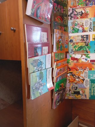 Lote de libros